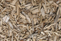 biomass boilers Stallen